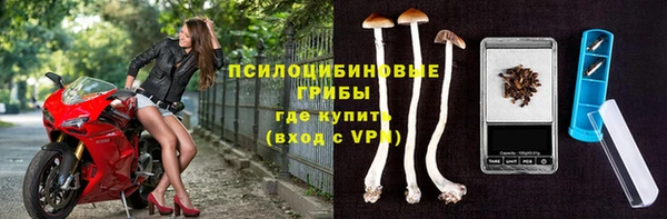 мдпв Лабытнанги