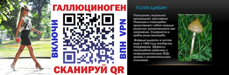 Купить где  Луховицы  Галлюциногенные грибы Psilocybe 